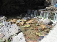 Wasserfall Porto Moniz