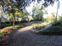 Botanischer Garten Funchal