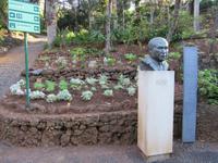 Botanischer Garten Funchal