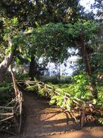 Botanischer Garten Funchal
