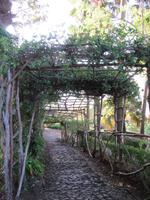 Botanischer Garten Funchal