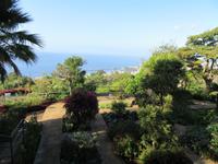 Botanischer Garten Funchal