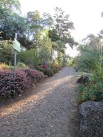 Botanischer Garten Funchal