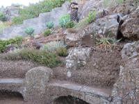 Botanischer Garten Funchal