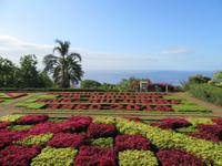Botanischer Garten Funchal