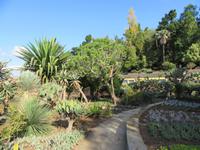 Botanischer Garten Funchal