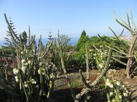 Botanischer Garten Funchal