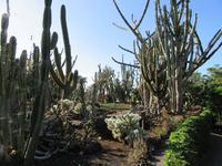 Botanischer Garten Funchal
