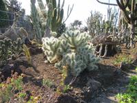 Botanischer Garten Funchal