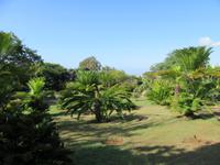 Botanischer Garten Funchal
