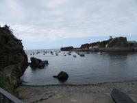 Bucht Camara de Lobos