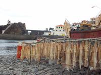 Stockfisch in Camara de Lobos