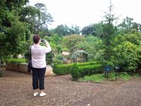 ...in Blandys Garden