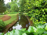 ...in Blandys Garden