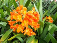 Parque de Santa Catarina