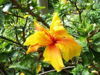 ...im Kräutergarten