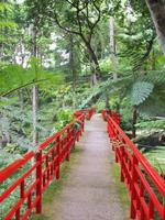 Jardim Tropical - Monte Palace