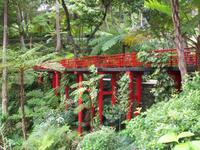 Jardim Tropical - Monte Palace