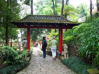 Jardim Tropical - Monte Palace