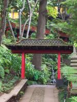 Jardim Tropical - Monte Palace