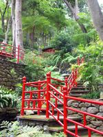 Jardim Tropical - Monte Palace