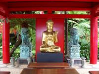 Jardim Tropical - Monte Palace