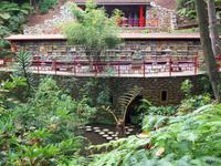 Jardim Tropical - Monte Palace