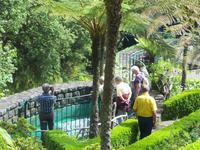 Forellenzucht bei Ribeiro Frio