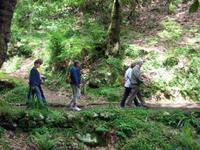 auf dem Weg zum Aussichtspunkt Balcoes