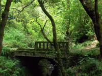 auf dem Weg zum Aussichtspunkt Balcoes