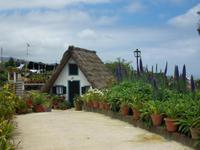 Strohdachhäuser in Santana