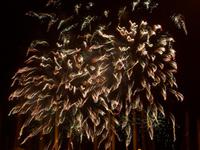 Feuerwerk beim Atlantik-Festival