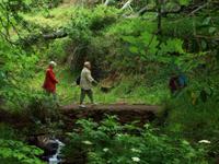 Levada-Wanderung von durch das Paradiestal