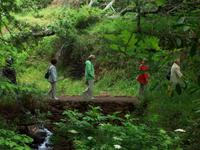 Levada-Wanderung von durch das Paradiestal