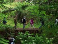 Levada-Wanderung von durch das Paradiestal