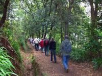 Levada-Wanderung von durch das Paradiestal