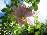 Levada-Wanderung von durch das Paradiestal