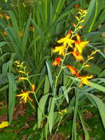 Levada-Wanderung von durch das Paradiestal