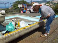 Likörchen am Pico dos Barcelos