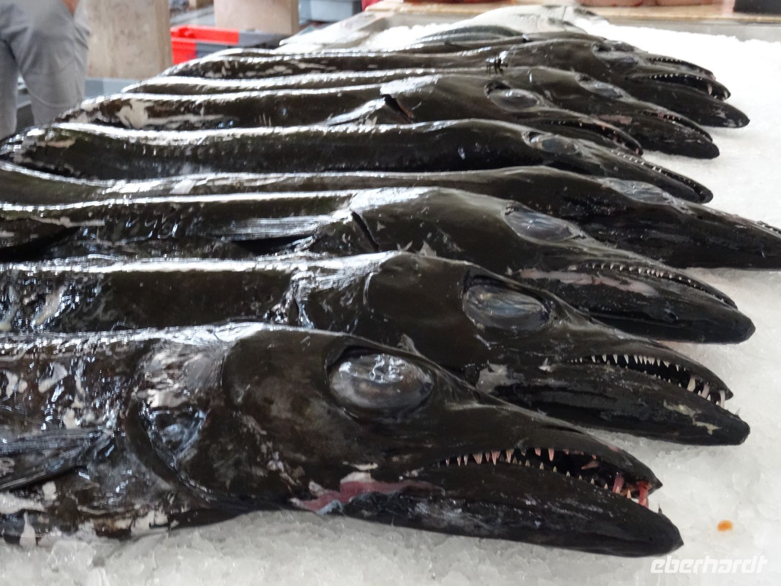 Markthalle in Funchal - schwarzer Degenfisch