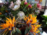 Markthalle in Funchal