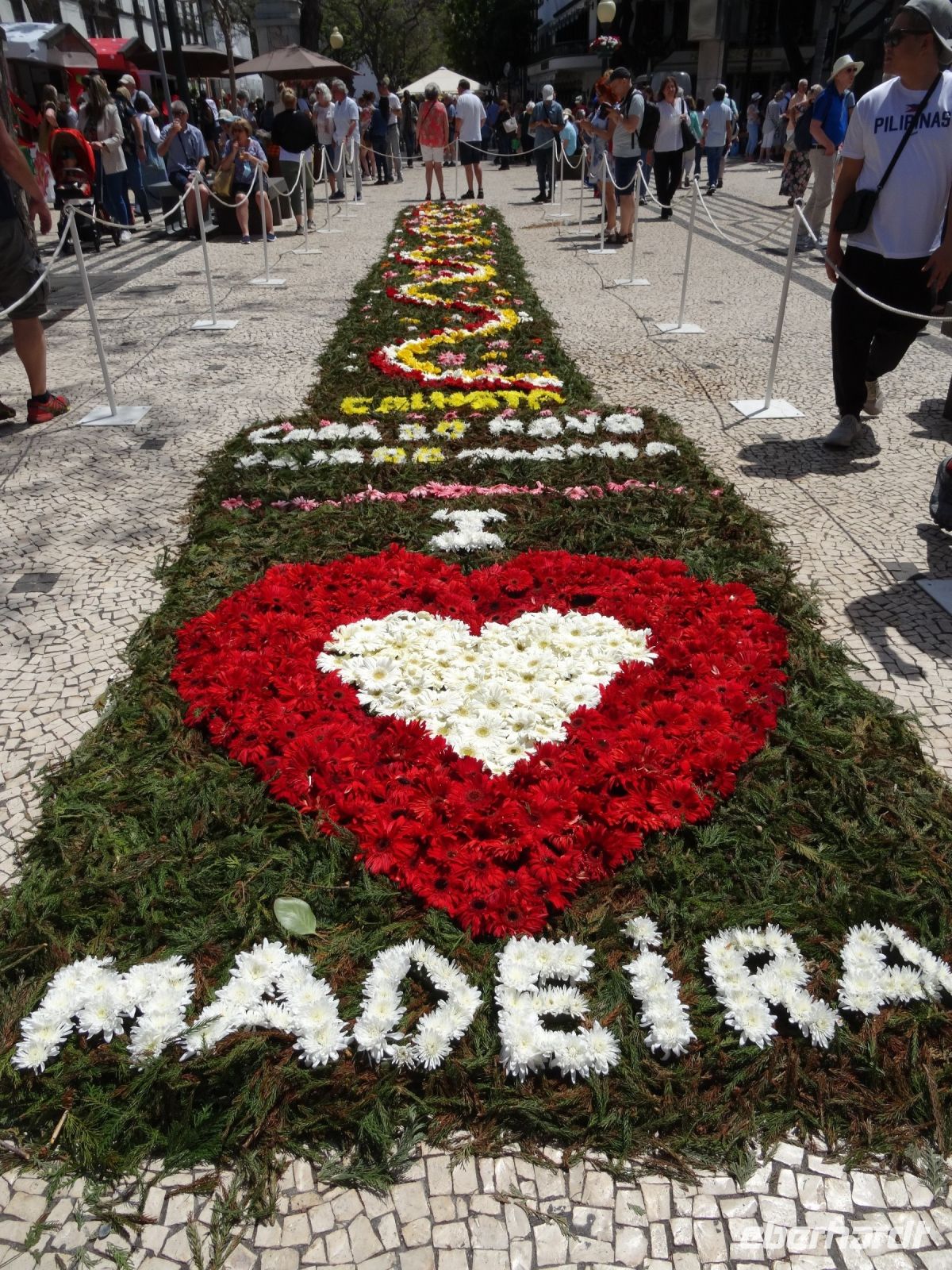 Funchal - Blumenteppich