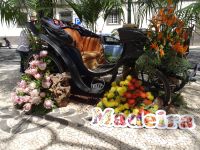 Funchal + Blumenfest