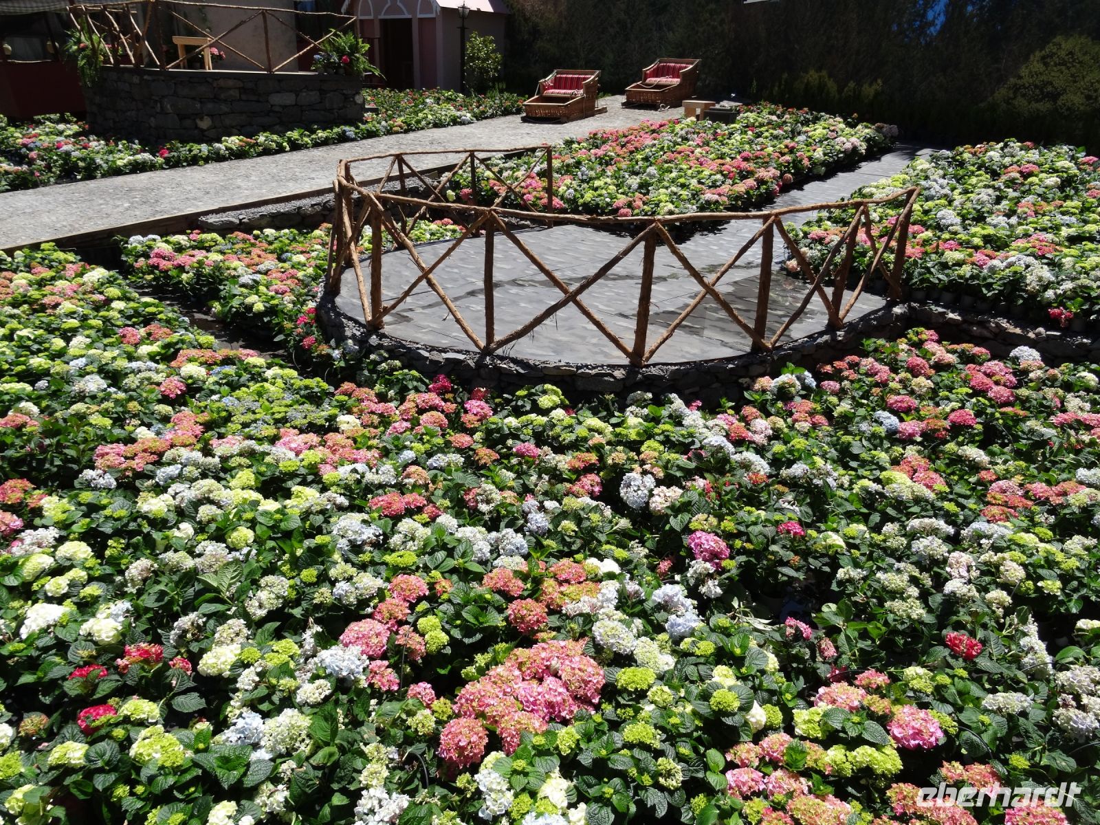 Funchal + Blumenfest