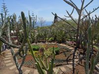 Funchal - Botanischer Garten