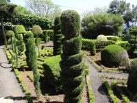 Funchal - Botanischer Garten