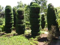 Funchal - Botanischer Garten