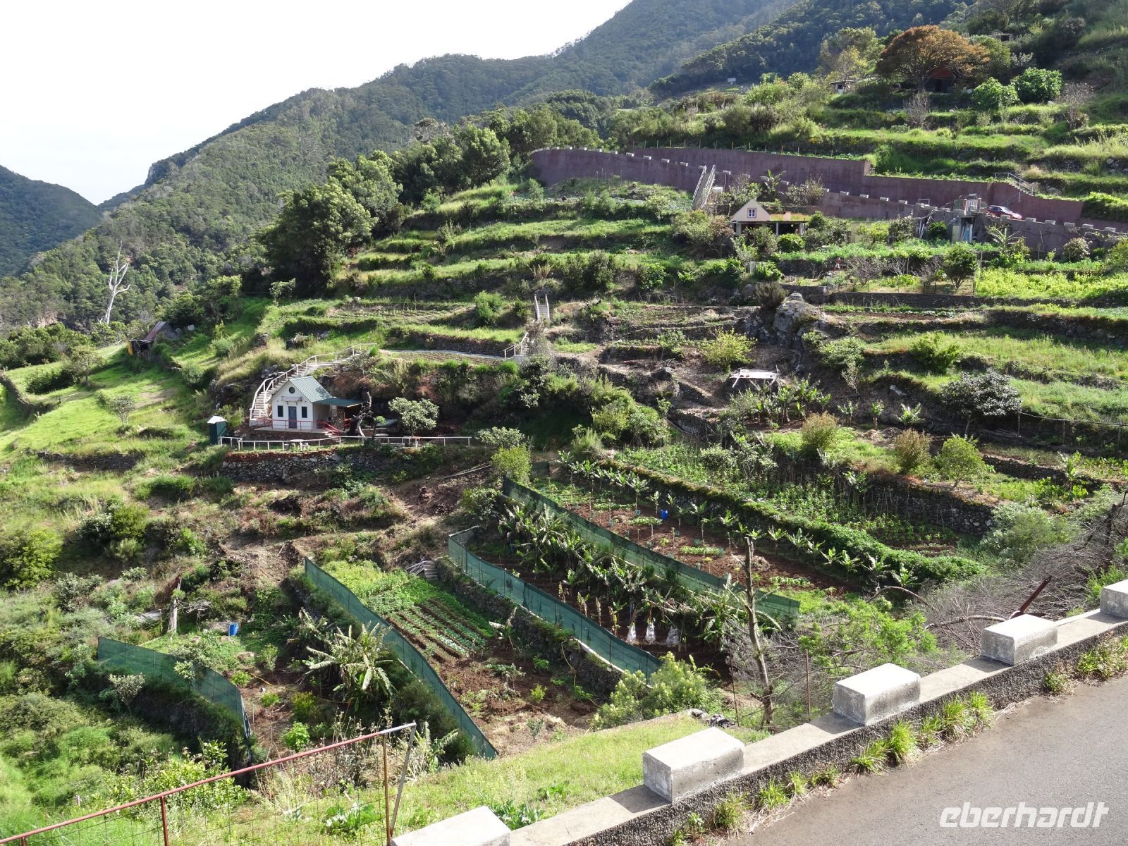 Levada-Wanderung - Terrassenfelder