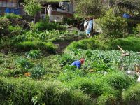 Levada-Wanderung - schwere Arbeit