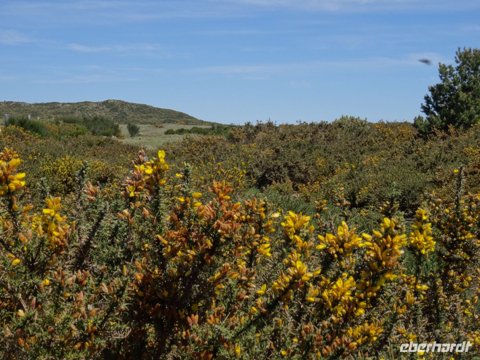 Hochebene Paul da Serra